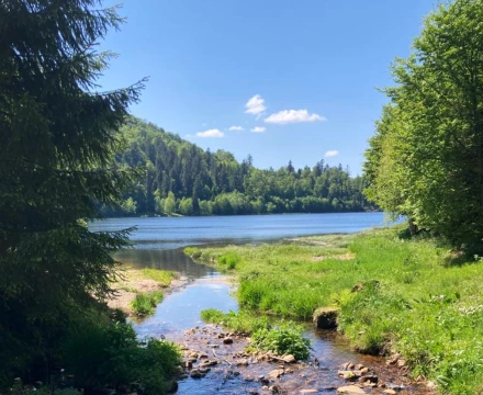 Paysage des Vosges avec lacs et forêts