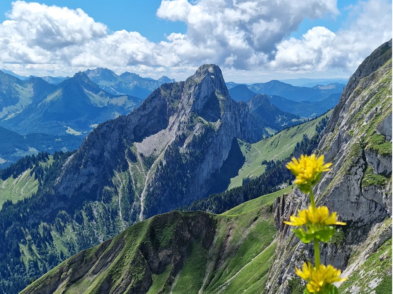 Randonnée du printemps à l'automne dans un paysage verdoyant